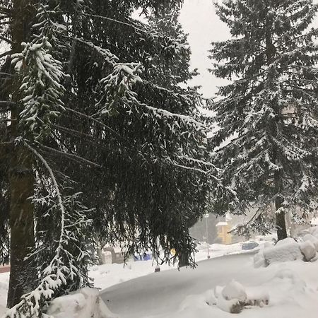 شقة Julie 1 Svoboda nad Úpou المظهر الخارجي الصورة